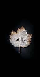 Allah-❤️👑😍__-e1706057933643 Allah-❤️👑😍__-e1706057933643